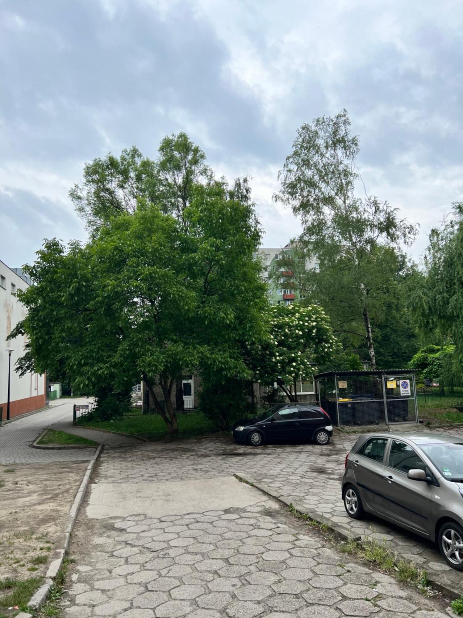Nocleg Opole Kopernik Apartament Exteriér fotografie